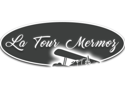 Logo La Tour Mermoz Ancenis