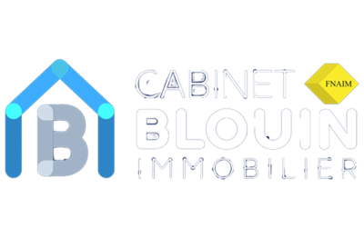 Logo Blouin Immobilier Nort-sur-Erdre