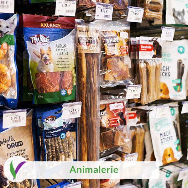 Animalerie chez VillaVerde à Redon