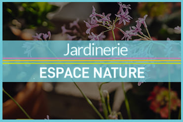 Homepage Pied Jardinerie Espace Nature