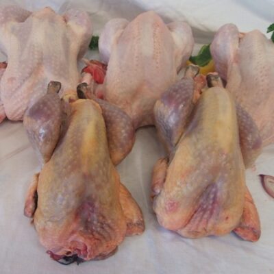poulet pintade la guerche de bretagne