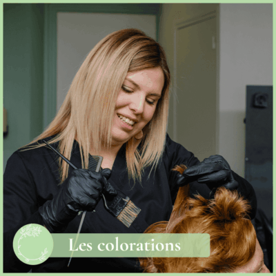 Découvrez les colorations de la Loge de Mathilde à Vitré !